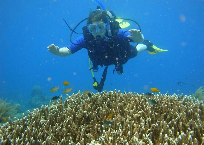 Bali Segara Lestari Oceanfront * Tejakula