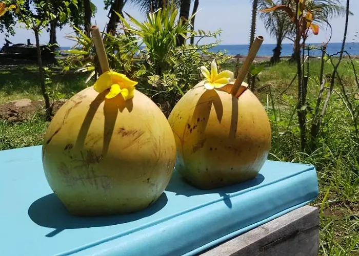 Bali Segara Lestari Oceanfront Gasthuis