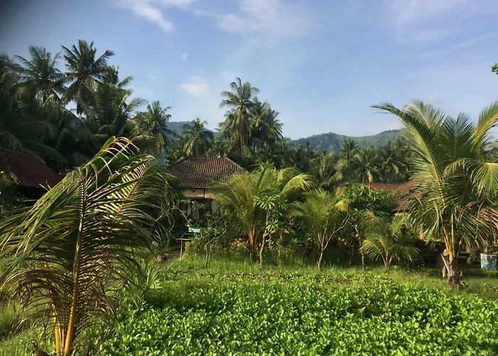 Gasthuis Bali Segara Lestari Oceanfront Tejakula